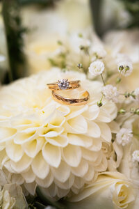 berkshire-elopement-lee-massachusetts-devonfield-inn-wedding-rings