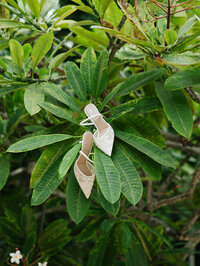 Dallas wedding photographer, fashion-inspired wedding photography, editorial wedding photographer, film wedding photographer, digital and film wedding photographer, destination wedding photographer, Maci Neal Photography, texas wedding photographer, vogue wedding photography