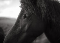 iceland-edits-129