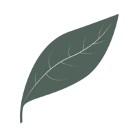 Feuille tombante, symbole de douceur et d’écoute intérieure