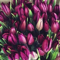 2017-02-09 09.47.09 1446551762801759806_17465768