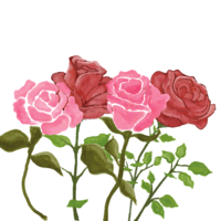 Break toxic cycles and find emotional safety through Christ-centered somatic healing and divine restoration.