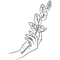 hand and leaf illustration