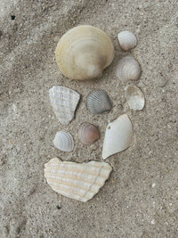 Two woman hugging amongst the greenery of Bali