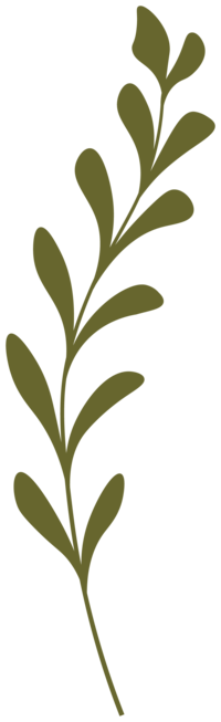 graphic design of a rosemary herb with organic features