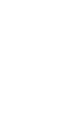leaf illustration