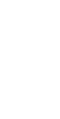 hummingbird illustration