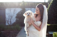 Bride holds her pet dog at her wedding at Southend Barns winter wedding, with low light and beautifully sunkissed in Jenny Packham dress