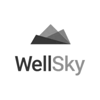 WellSky Logo Gray