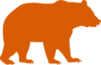 Orange Bear