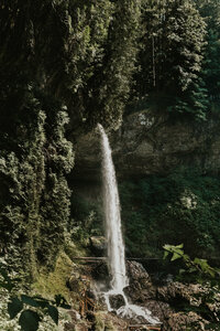 silver-falls-state-park-elopement