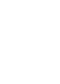 The Brand Influence Logo for Wellness Branding and Website Design in Boise, Idaho