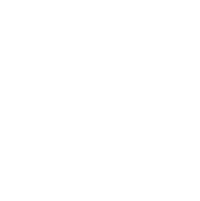sunburst graphic