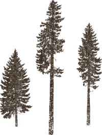 trees illustration
