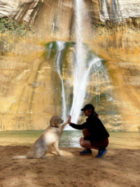 Woman giving her lab dog a high five in front of a waterfall