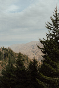 Landscape Photo of Newfound Gap in the Smoky Mountains