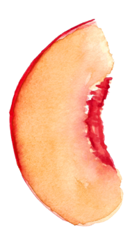 Peach Slice Cocktail Garnish