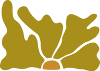 illustration of green flower