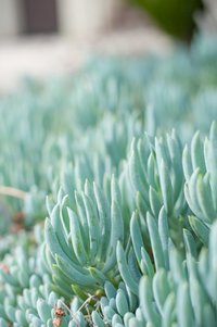 Fargo Moorhead Wedding Photography Kris Kandel 2016 best photographer  (102)