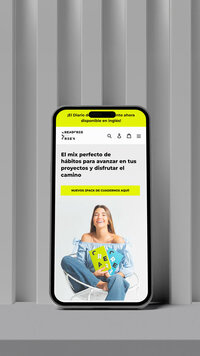 Web design example mockup on old device