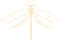 Dragonfly logo mark