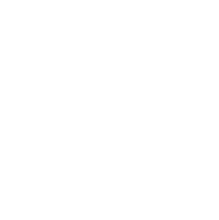 Black Futures Lab Logo