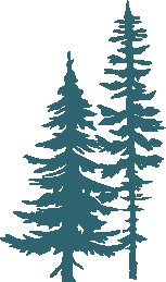 teal pine tree graphic