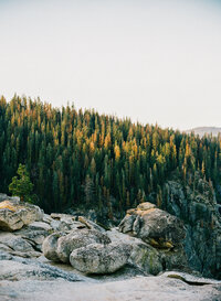 IzAnt_Yosemite_FILM-62