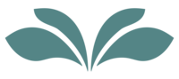 Transition brand pink icon
