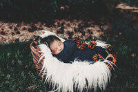 Newborn Photography  Denver