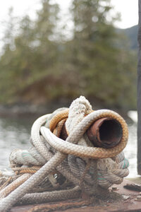 Dock cleat with old rope