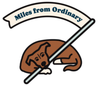 Illustration of therapy dog holding flag that says "miles from ordinary"