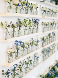 Dozens of clear glass bud vases filled with white and blue flowers arranged on wall-mounted shelves.