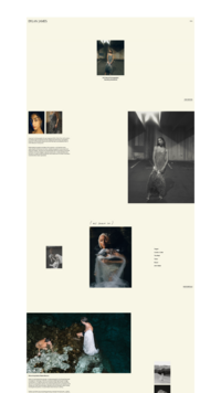 Dylan James showit website template mockup