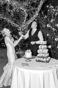 Phoenix-Wedding-Photographer-and-Videographer-Lindsay-Grove-Bride-and-Groom-Cake-Smash-DolyWed-1941