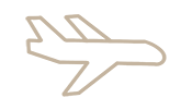 Plane Icon