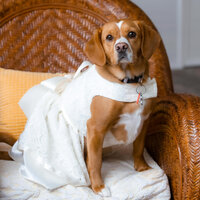 065_HarrisburgHersheyLancasterWeddingEngagementPhotographer_PhotographybyErinLeigh_b