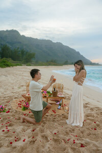 Oahu Surprise Engagement Photos