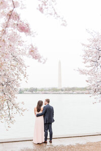dc-cherry-blossom-peak-bloom-photos