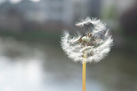 Photo par Alina and David sur Unsplash