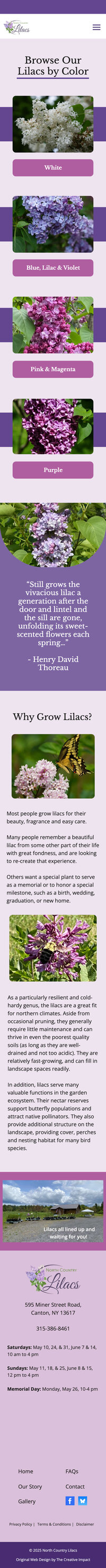 Iphone website mockup of North Country Lilacs site