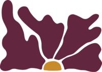 illustration of purple flower