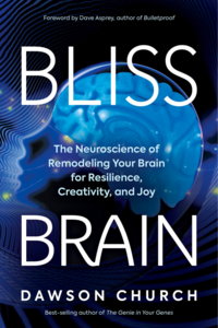 Bliss Brain book