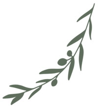 Olive Branch  decorative