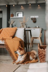 From Home by Northfolk_0061