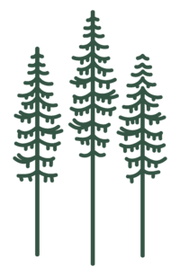 Born to Roam web element green trees