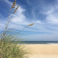 Sea oats blowing in the wind on the Outer Banks beach, shown in the Xanthe Bookkeeping website footer.
