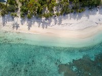 beach-coconut-trees-drone-cam-1705253