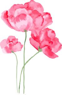 Water color roses for tender care cognitive stimulation
