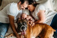 mom and dad with newborn baby laying on a bed with a dog